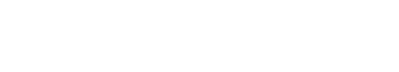 Velgo E-Bike Logo